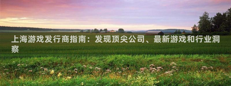 新城平台授权注册