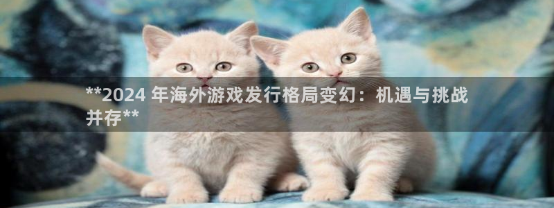 新城平台总代