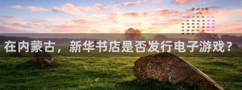 新城平台公司是国企吗