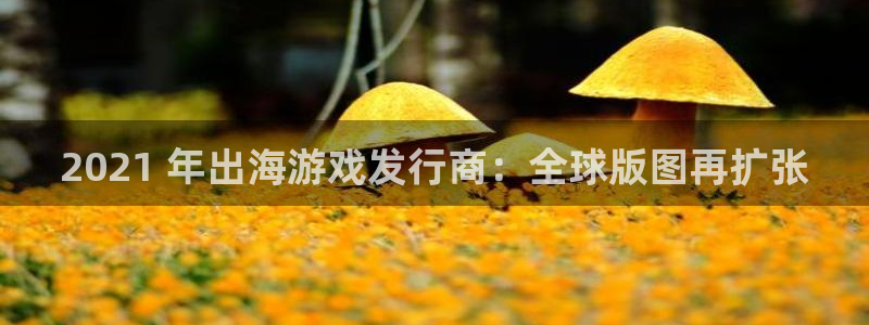 新城平台注册登录地址怎么填