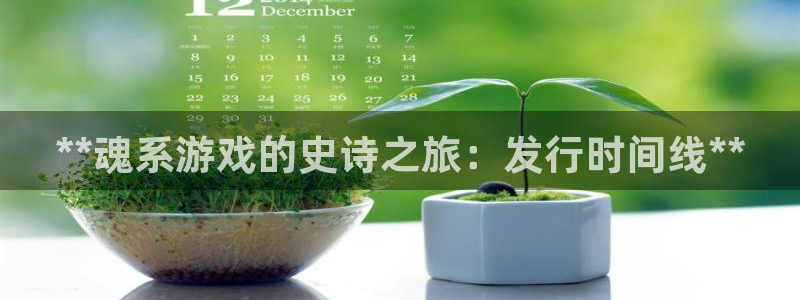 新城平台平台最新活动有哪些