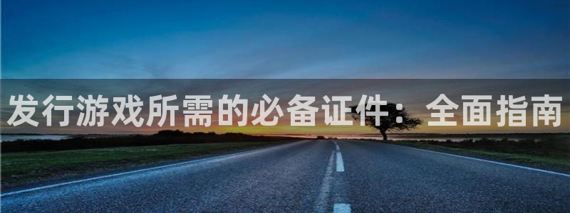 新城平台公司