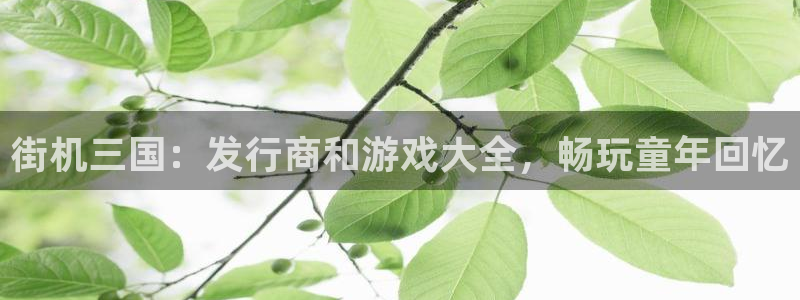 新城平台官网首页登录