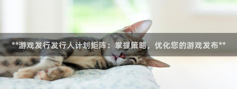 新城平台登录密码忘了怎么办