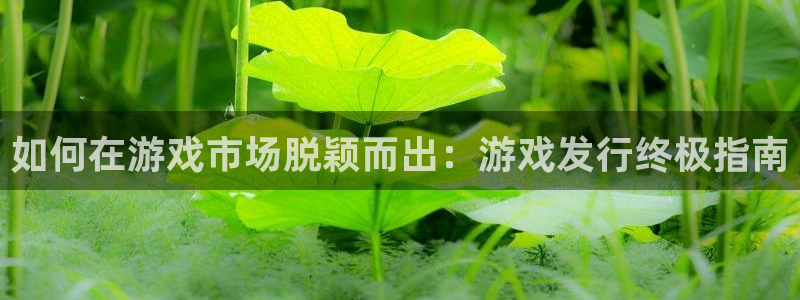 新城平台房7O777