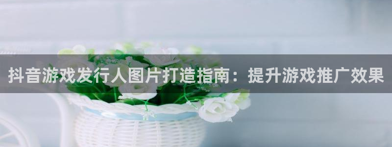 新城平台线路登录不上去怎么办呀