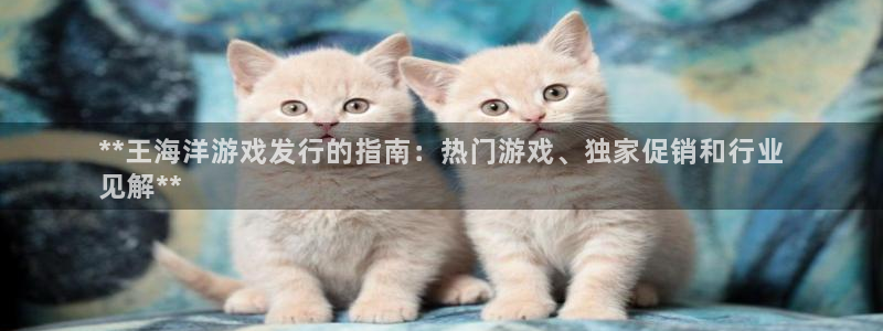 新城平台登录