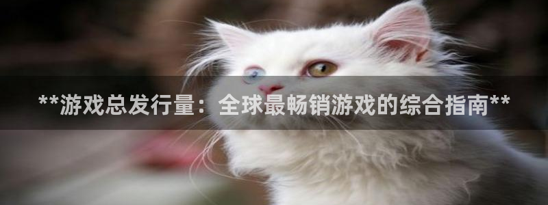 新城平台线路登录不上去怎么办呢