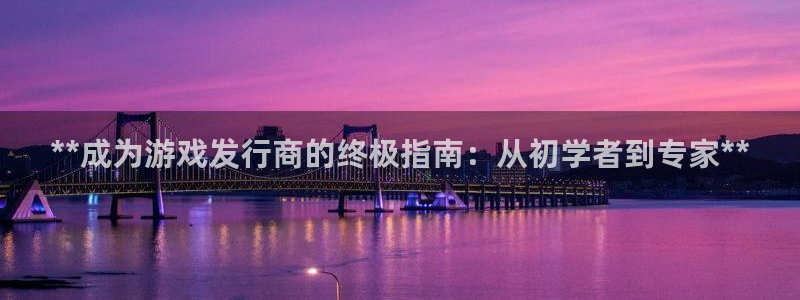 新城平台线路登录不上去了