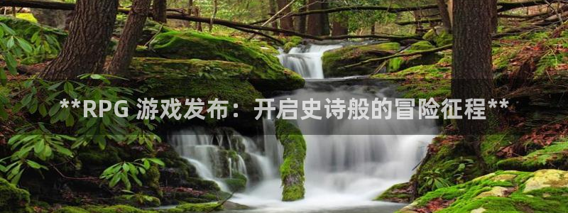 新城平台线路登录不上去