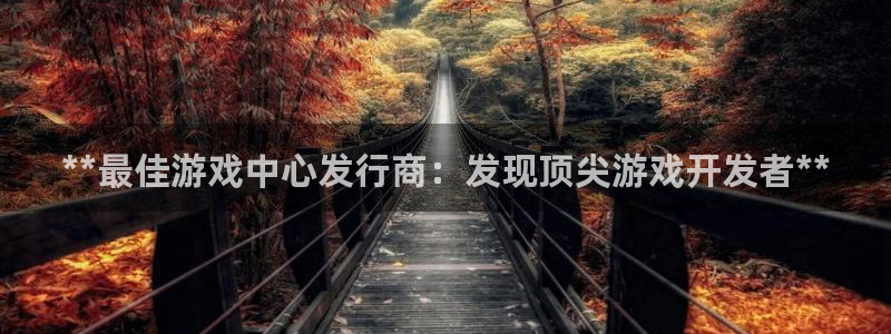 新城平台是干嘛的公司啊