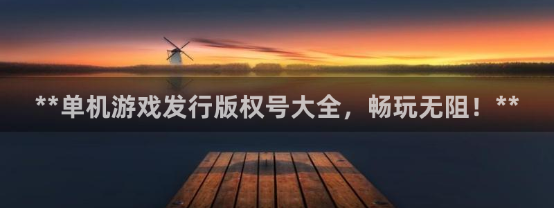 新城平台线路登录不上去了