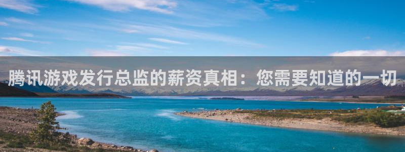 新城平台登录入口官网网址是多少