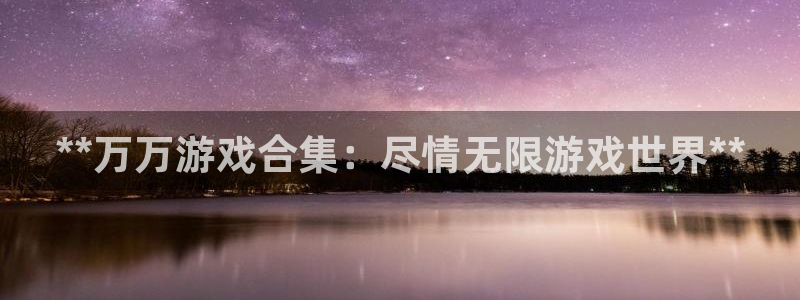新城平台登录入口官网查询网址
