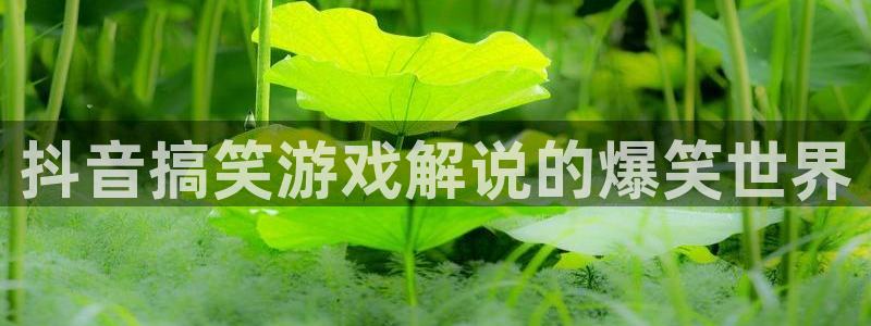 新城平台记7O777