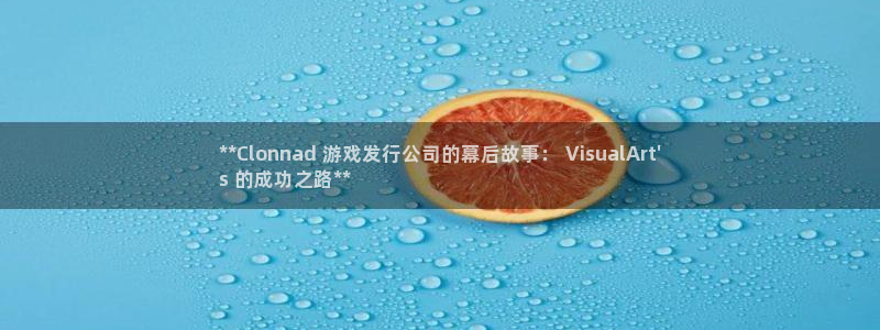 新城平台注册公司流程图
