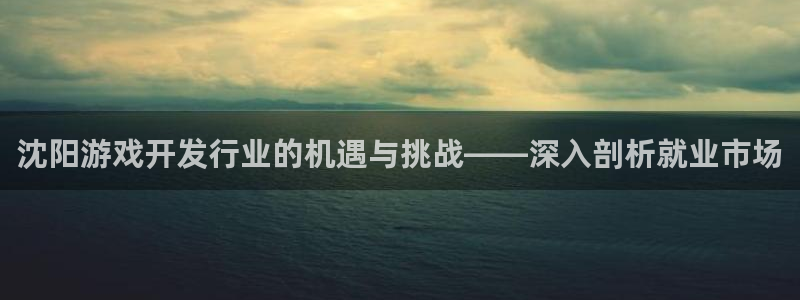 新城平台登录入口官网首页查询
