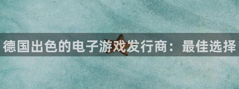 新城平台注册资金多少