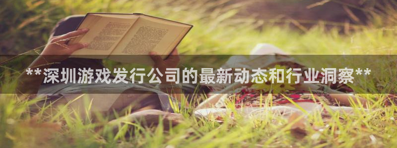 新城平台注册公司流程图