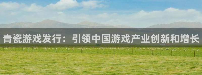 新城平台注册公司流程及费用