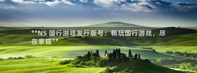 新城平台登录入口