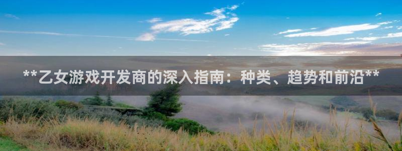 新城平台注册公司流程及费用