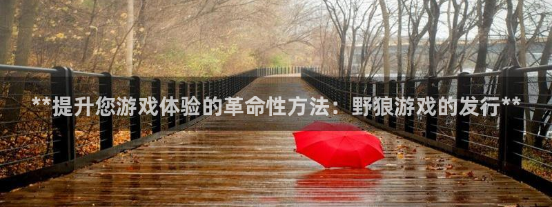 新城平台登录密码忘了怎么改
