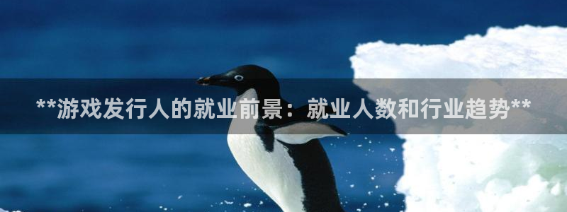 新城平台总代