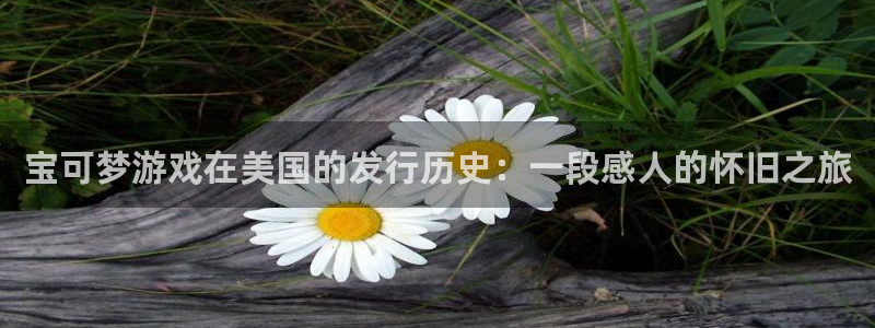 新城平台注册流程及费用
