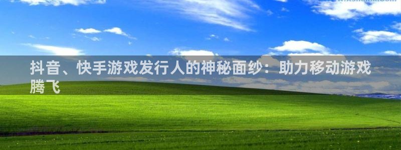 新城平台代理怎么做