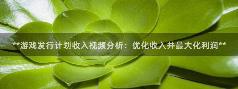新城平台是干嘛的公司