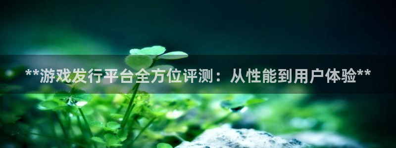 新城平台线路登录不上去了怎么办