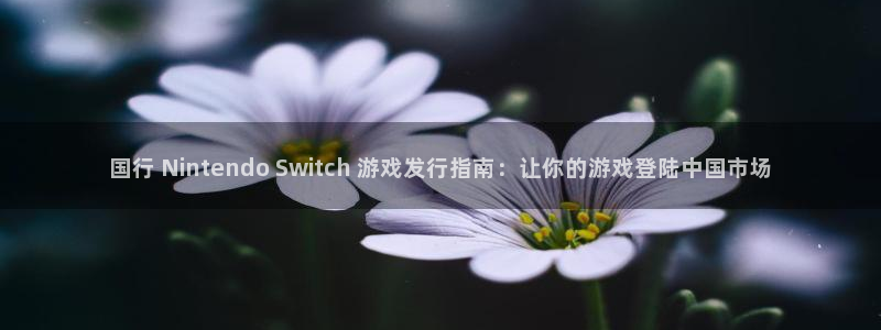 新城平台官网首页网址