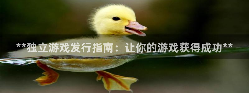 新城平台是干嘛的公司啊