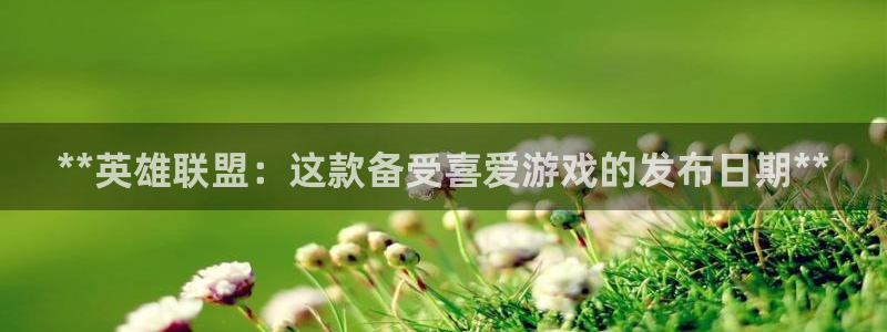 新城平台计7O777：**英雄联盟：这款备受喜爱游戏的发布日期**
