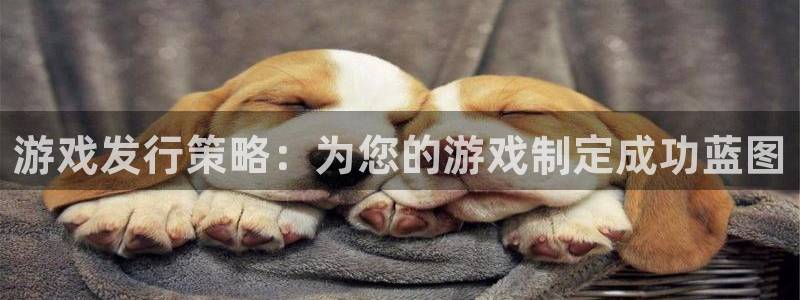 新城平台平台最新活动：游戏发行策略：为您的游戏制定成功蓝图