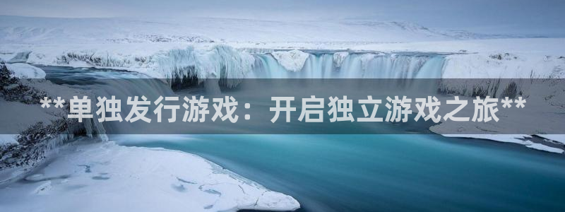 新城平台入.新城平台.全国联网是什么意思：**单独发行游戏：开启独立游戏之旅**