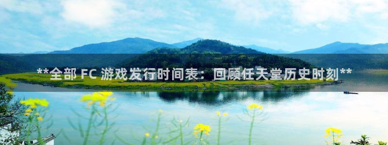 新城平台负责人：**全部 FC 游戏发行时间表：回顾任天堂历史时刻**