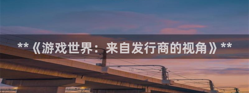 新城平台官网注册：**《游戏世界：来自发行商的视角》**