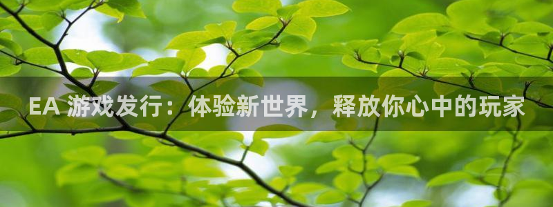 新城平台注册资金多少亿：EA 游戏发行：体验新世界，释放你心中的玩家