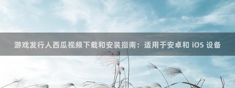 新城平台线路检测中心：游戏发行人西瓜视频下载和安装指南：适用于安卓和 iOS 设备