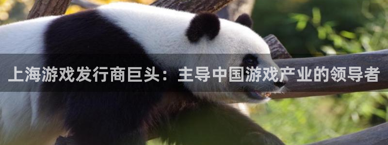 新城平台是干嘛的公司有哪些：上海游戏发行商巨头：主导中国游戏产业的领导者