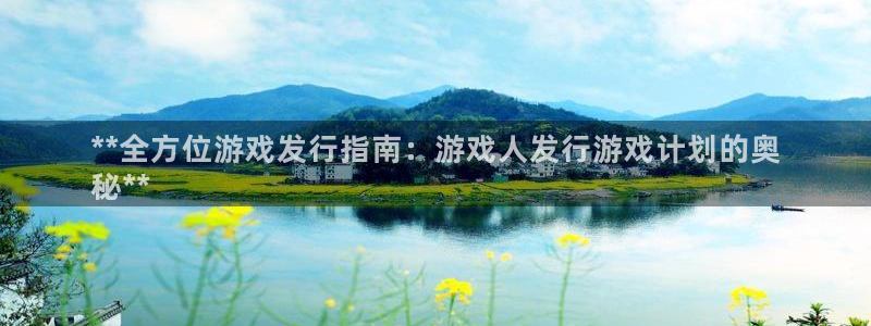 新城平台企业信息查询：**全方位游戏发行指南：游戏人发行游戏计划的奥
秘**