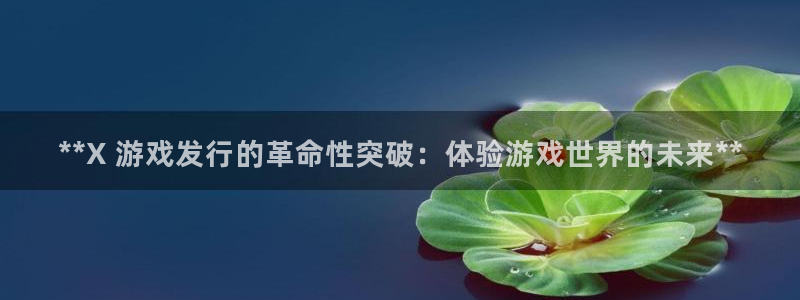 新城平台登录入口官网网址查询：**X 游戏发行的革命性突破：体验游戏世界的未来**