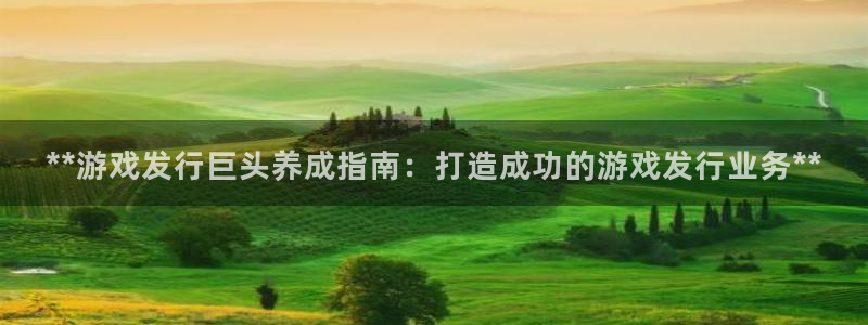 新城平台代理：**游戏发行巨头养成指南：打造成功的游戏发行业务**