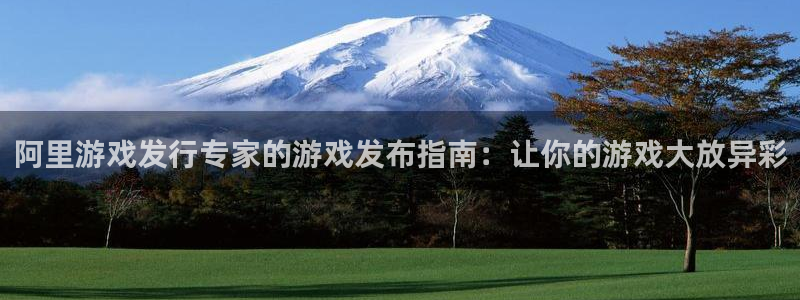 新城平台入.新城平台.全国联网是什么意思：阿里游戏发行专家的游戏发布指南：让你的游戏大放异彩