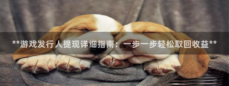新城平台一新城注册：**游戏发行人提现详细指南：一步一步轻松取回收益**