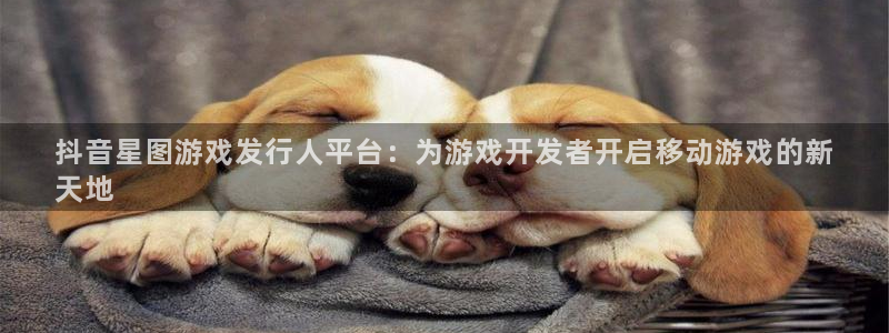 新城平台公司