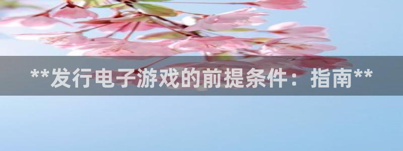 新城平台是干嘛的