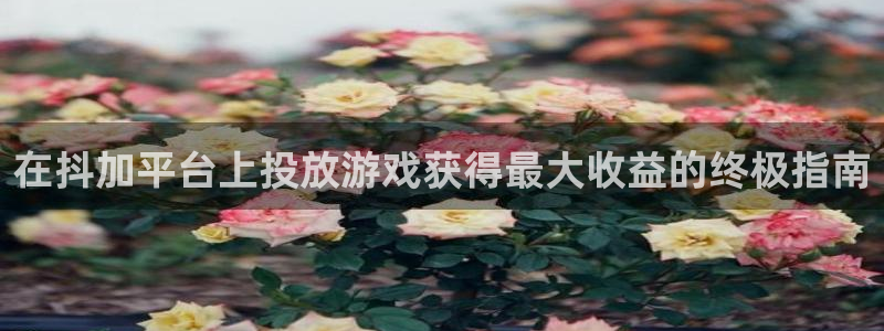 新城平台属于哪个系列：在抖加平台上投放游戏获得最大收益的终极指南
